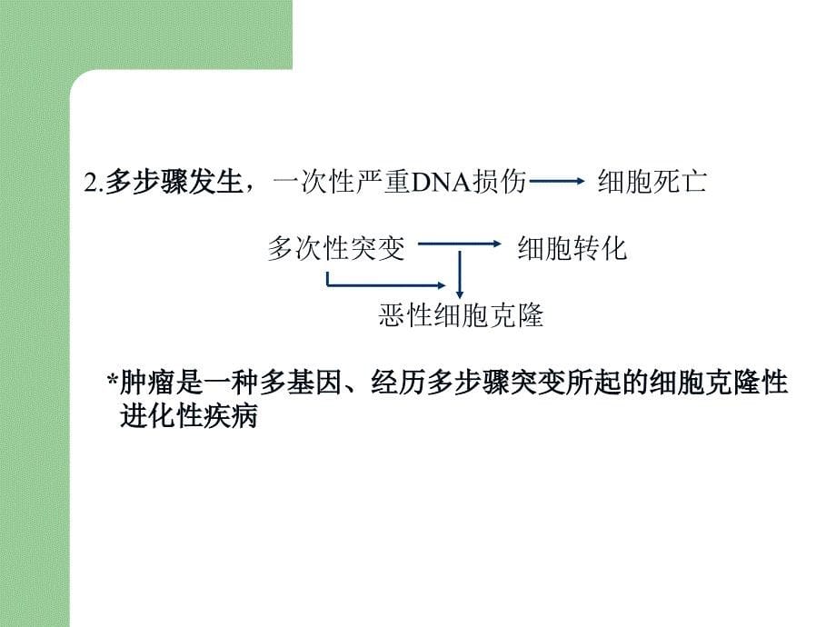 2肿瘤的生物学特性.课件_第5页