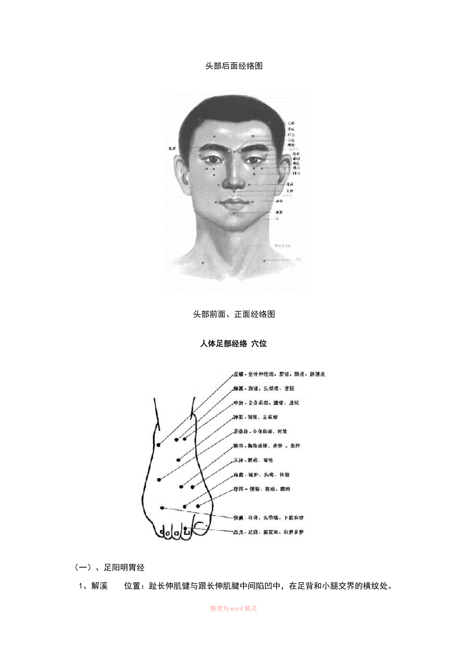 头部经络Word_第2页