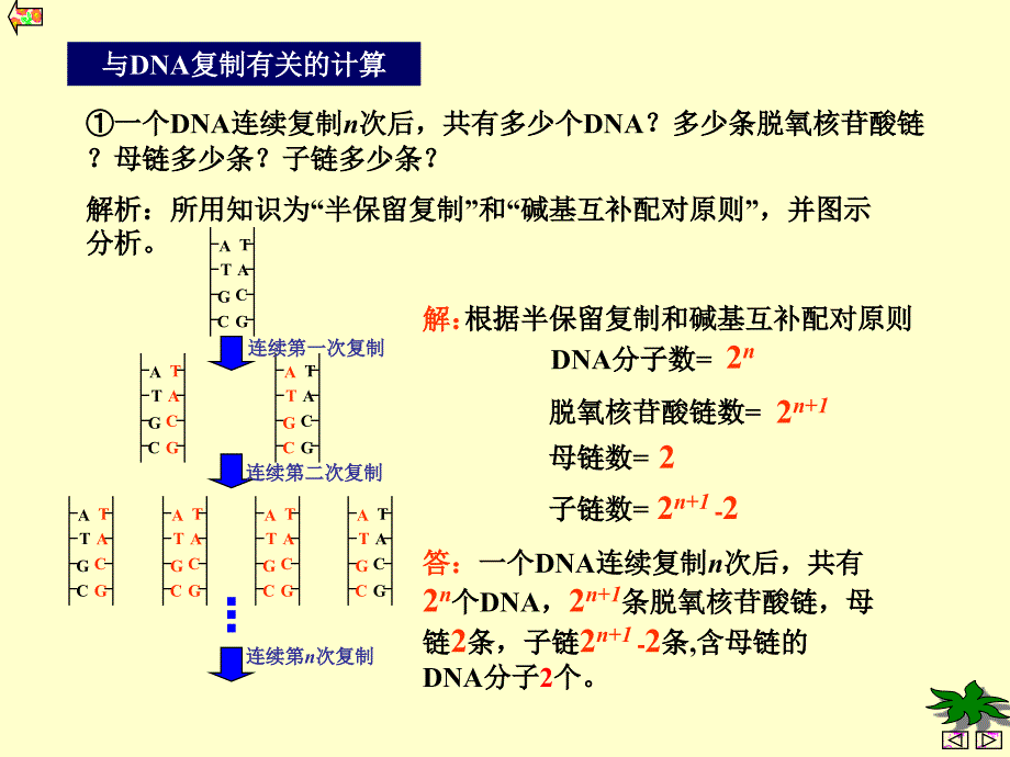 与DNA复制有关的计算_第1页