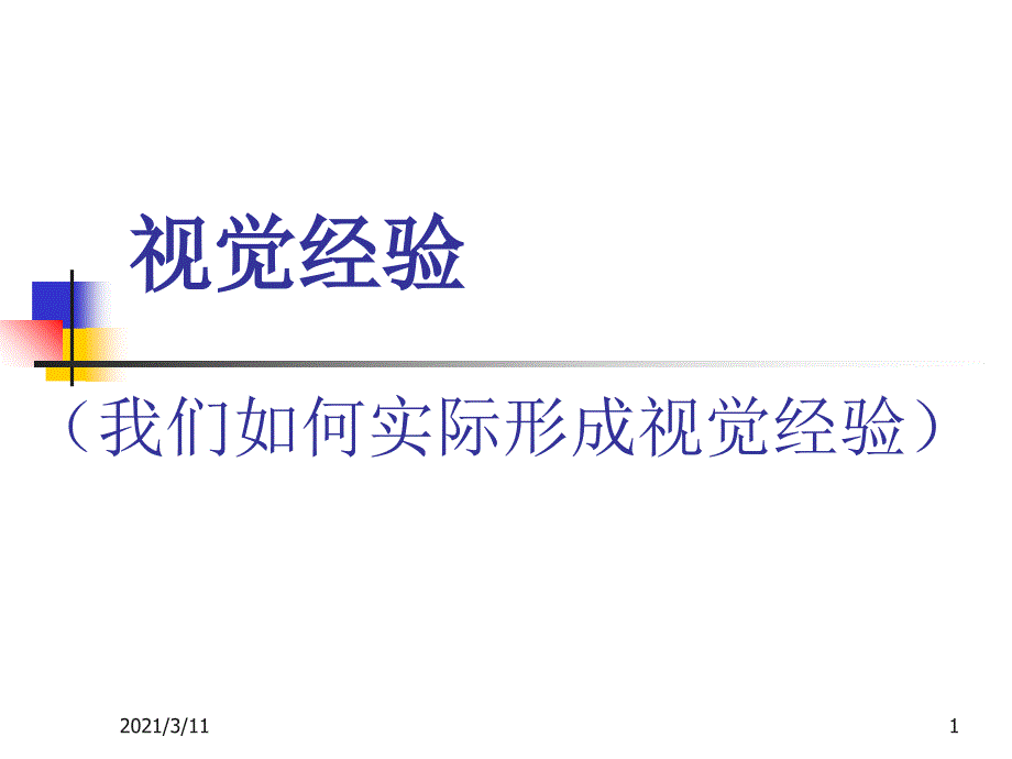 视觉经验的形成_第1页