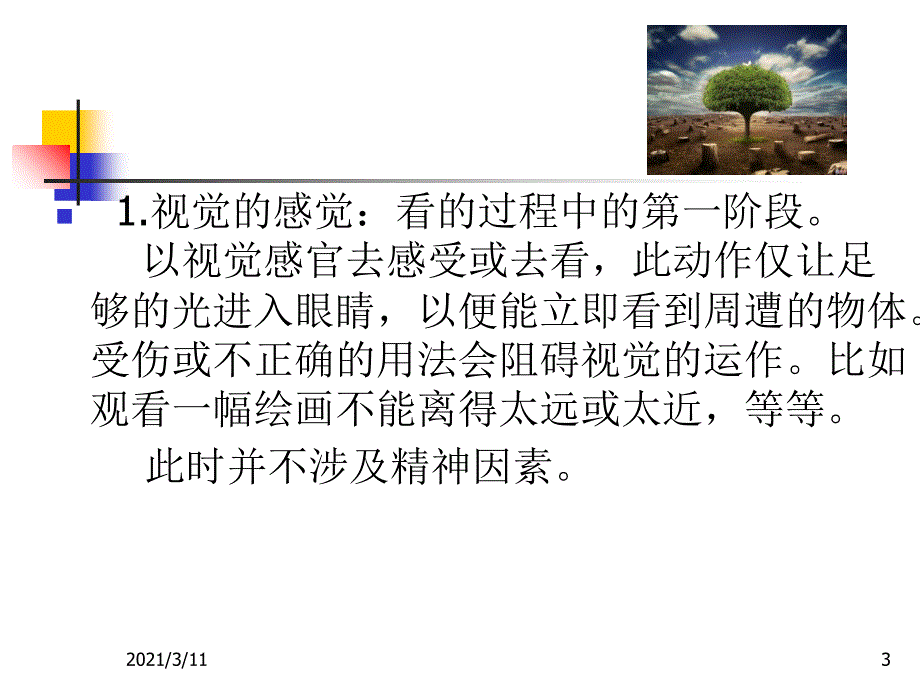 视觉经验的形成_第3页