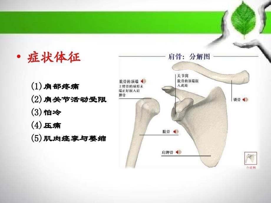 肩周炎基本知识_第5页