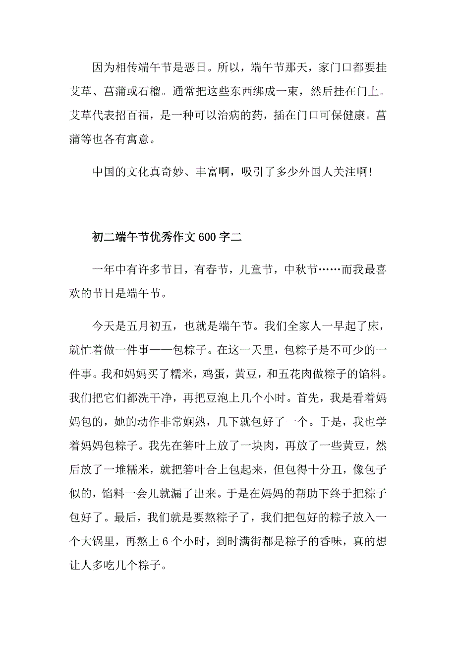 初二端午节优秀作文600字五篇_第2页