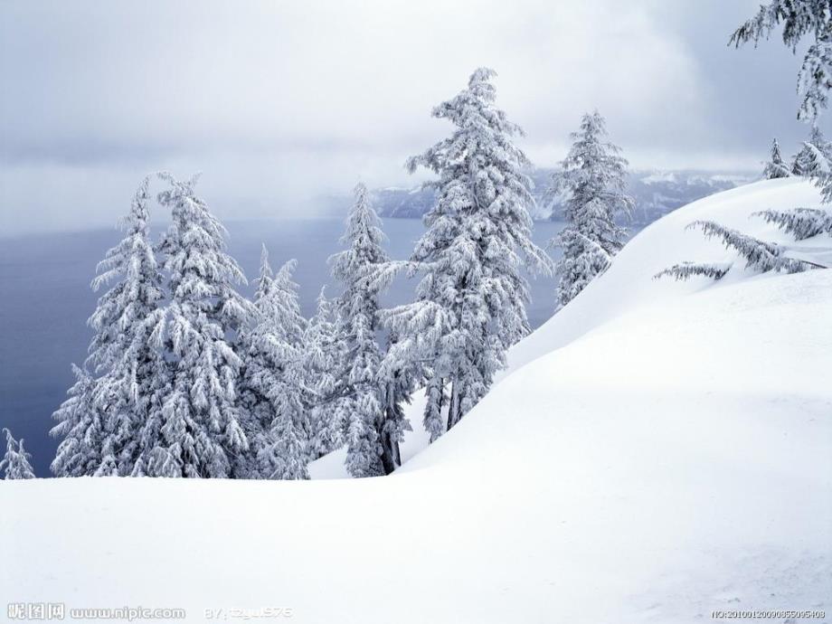 新人教版雪地里的小画家课件_第3页