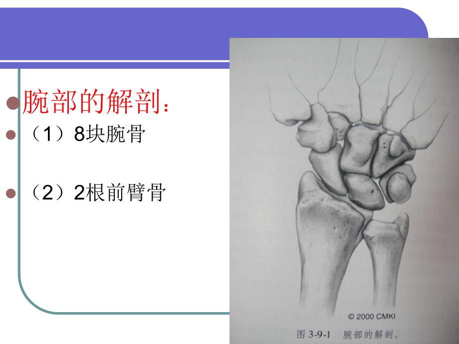 医学专题：桡骨远端骨折(ppt)_第3页