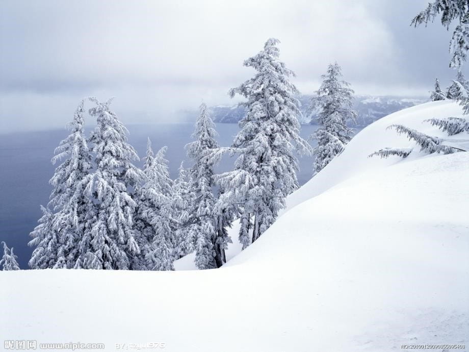 17雪地里的小画家ppt课件_第5页