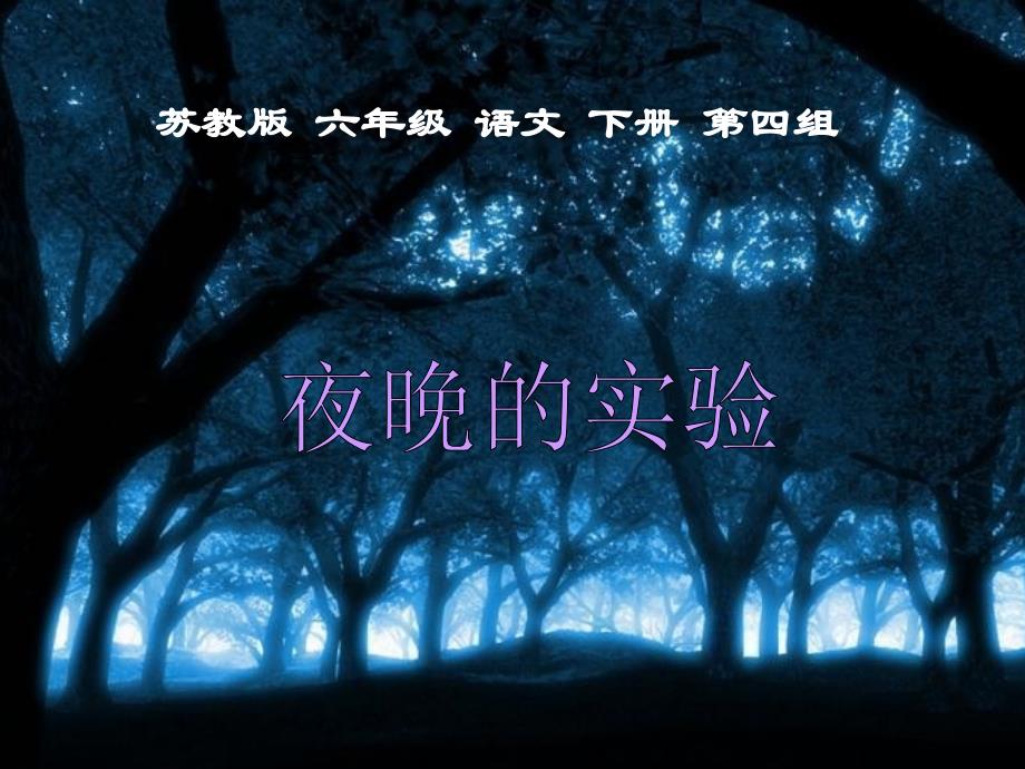 12夜晚的实验3_第2页