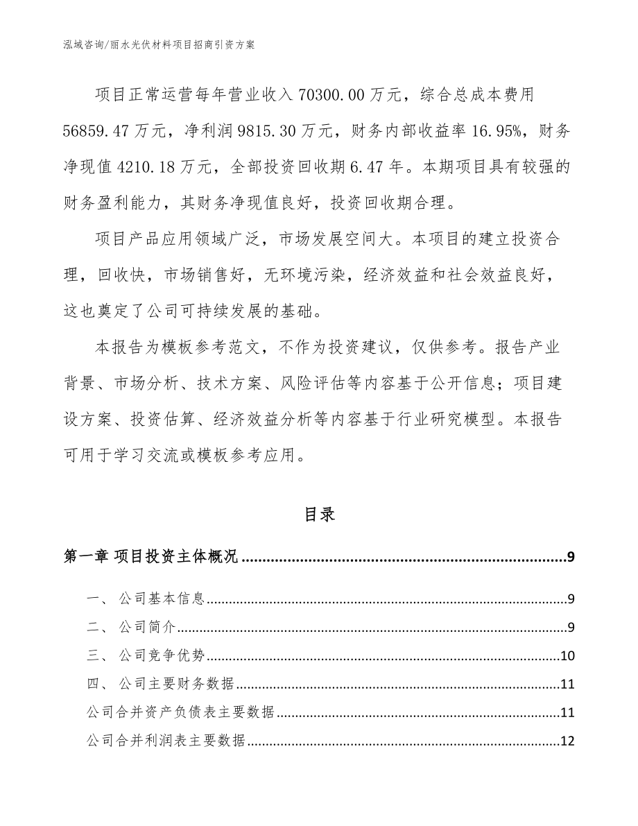 丽水光伏材料项目招商引资方案_第2页