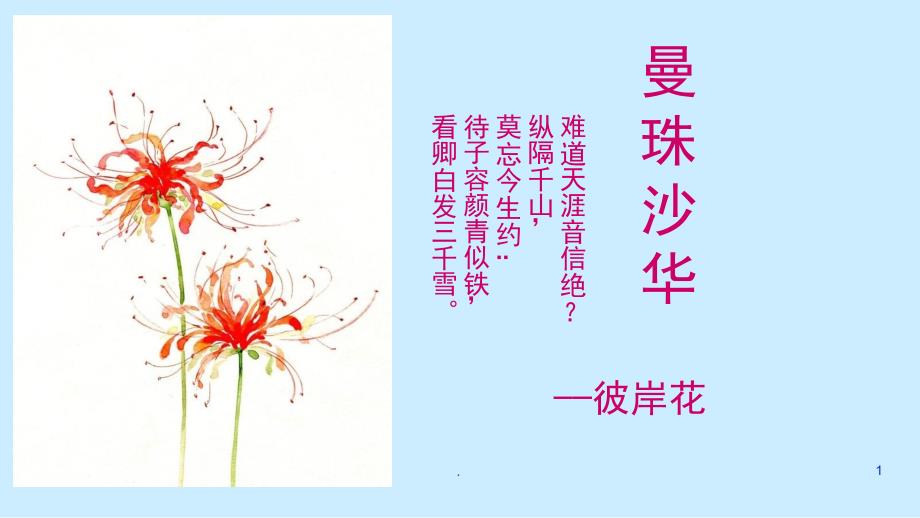 彼岸花写意国画课堂PPT_第1页