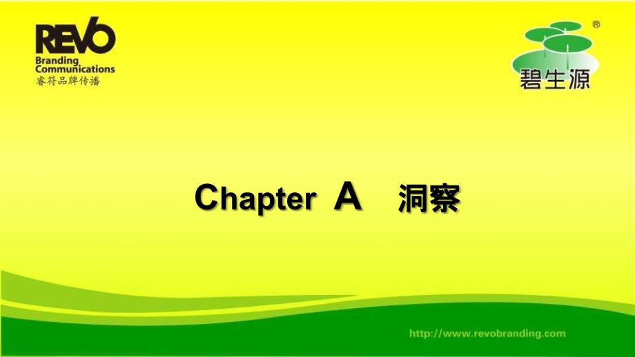 【广告策划PPT】碧生源传播规划_第3页