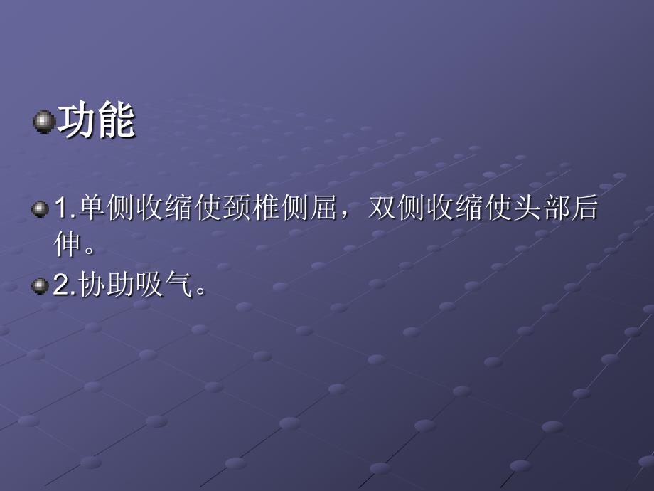 颈项部肌肉基础解剖——起止点及作用_第4页