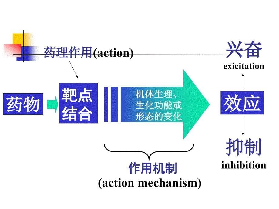 第章临床药物效应动力学PPT课件_第5页