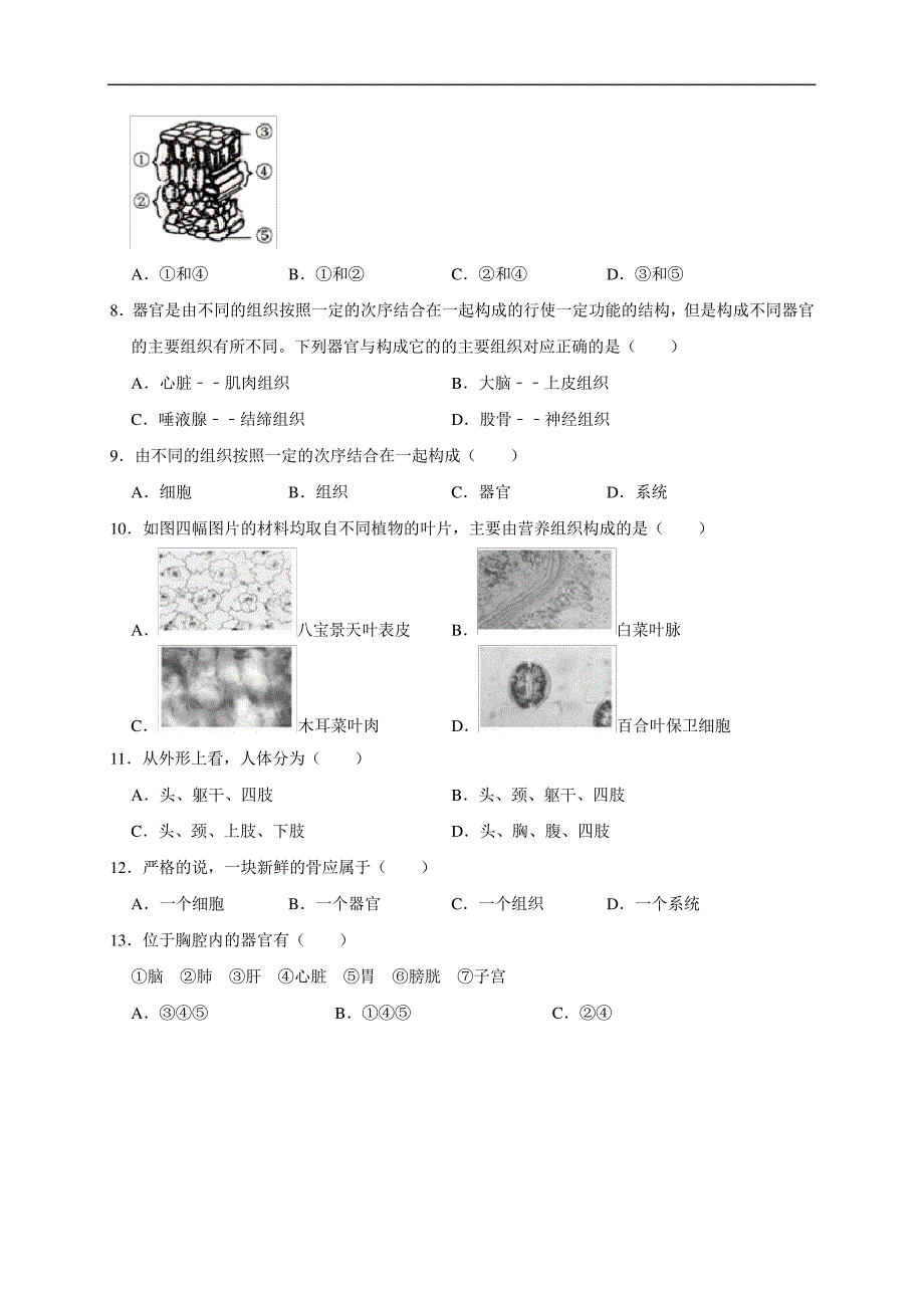 第9章生物体有相似的结构层次(基础过关)七年级生物下册单元卷(苏科版)(原卷版)_第2页