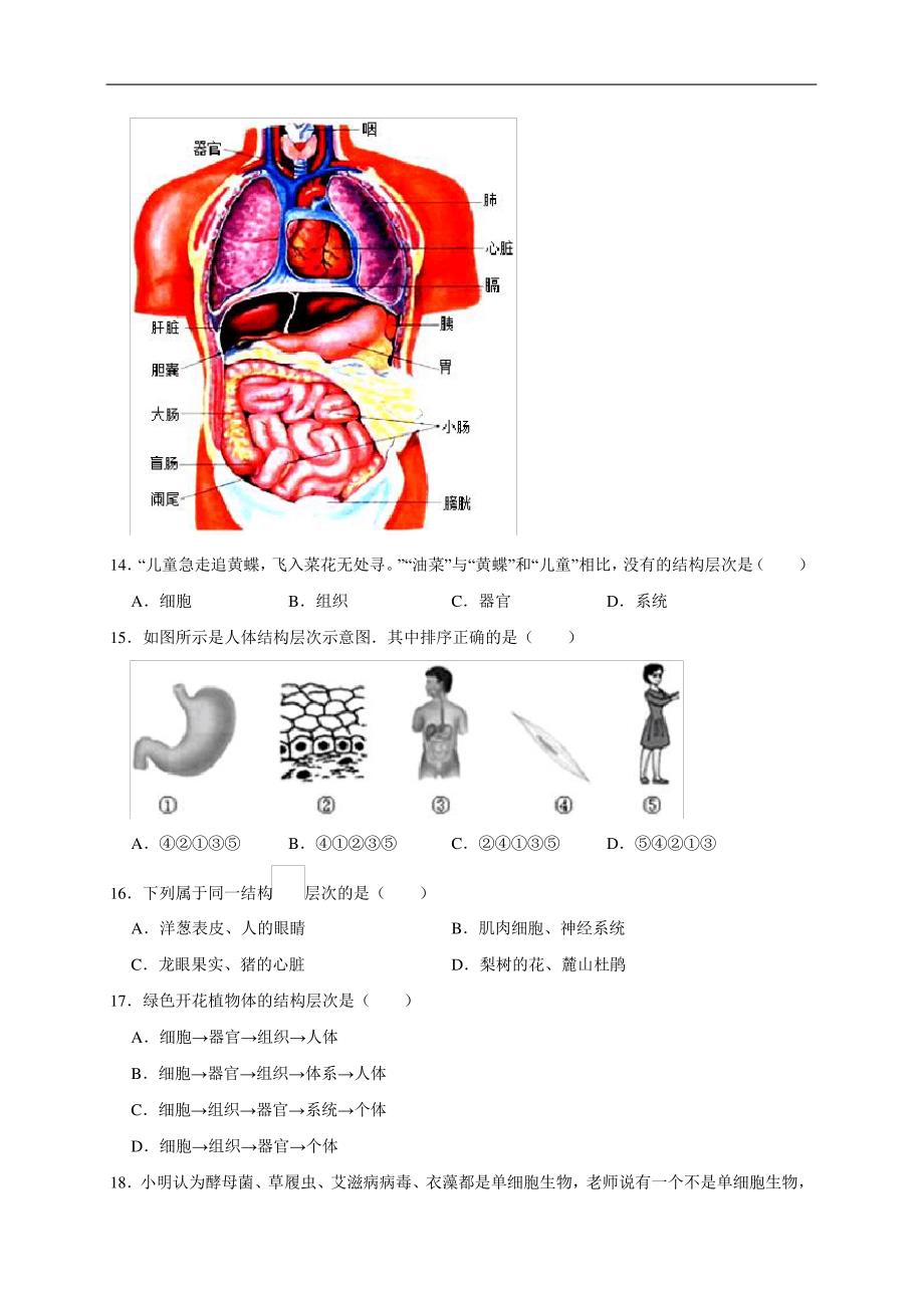 第9章生物体有相似的结构层次(基础过关)七年级生物下册单元卷(苏科版)(原卷版)_第3页