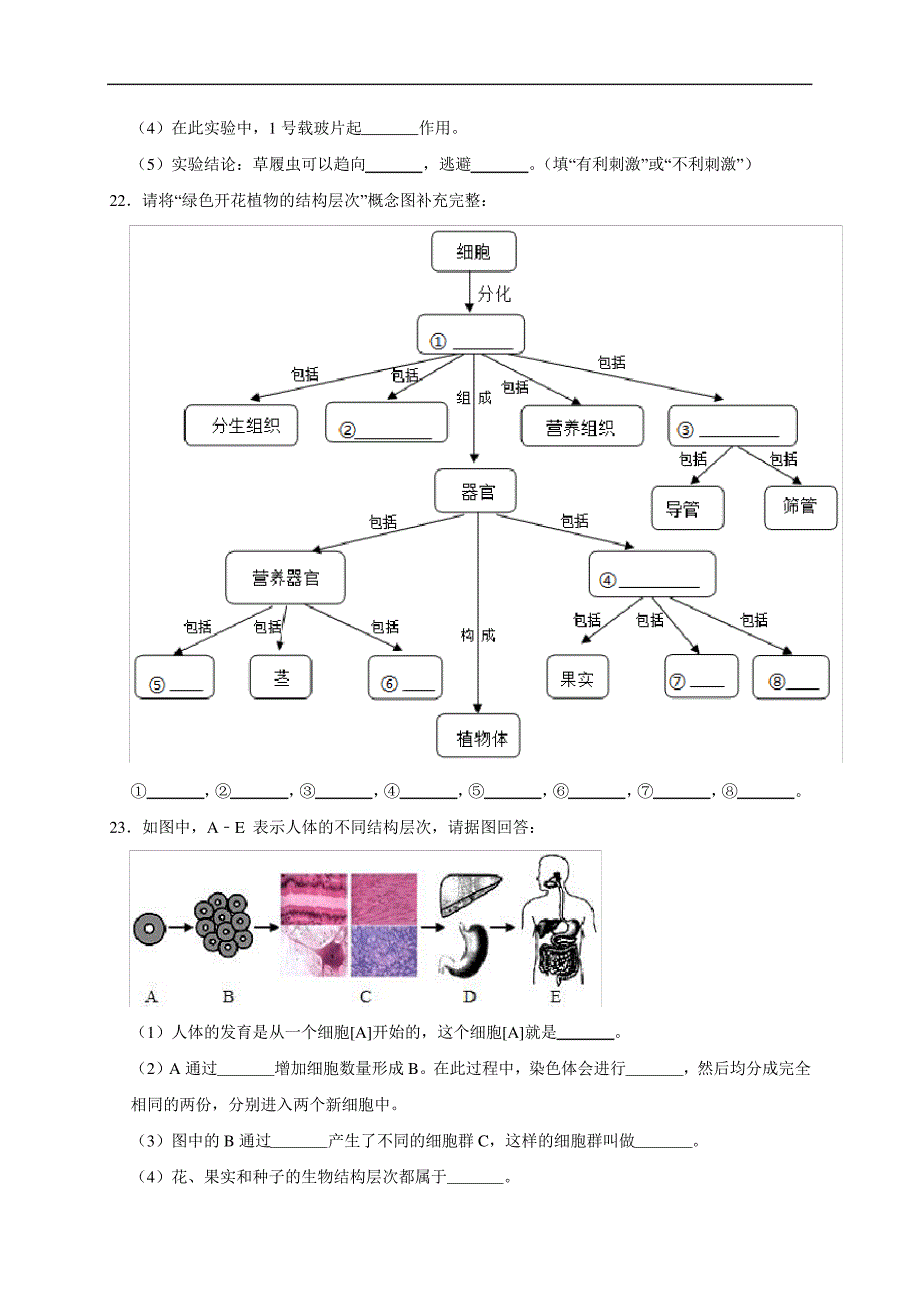 第9章生物体有相似的结构层次(基础过关)七年级生物下册单元卷(苏科版)(原卷版)_第5页