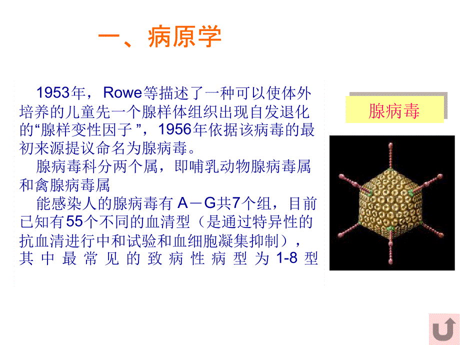 腺病毒肺炎讲课课件_第3页