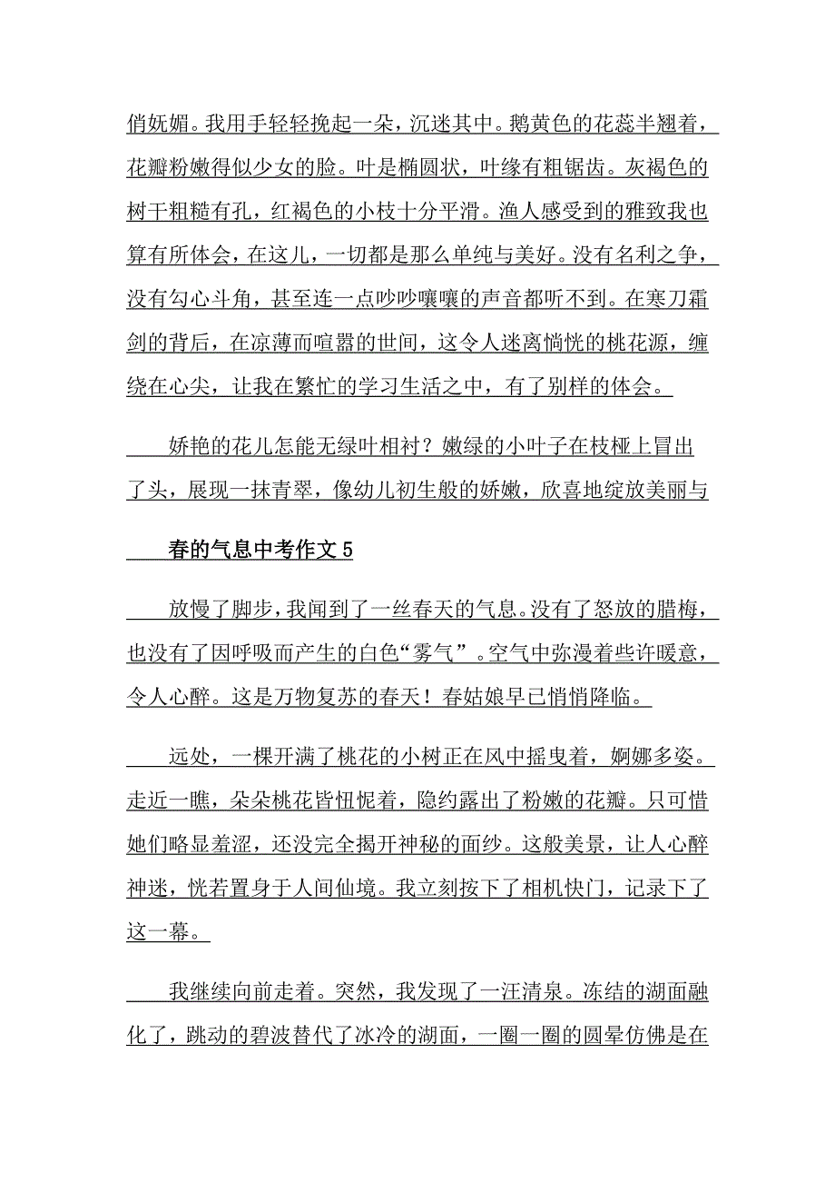 的气息中考作文_第4页