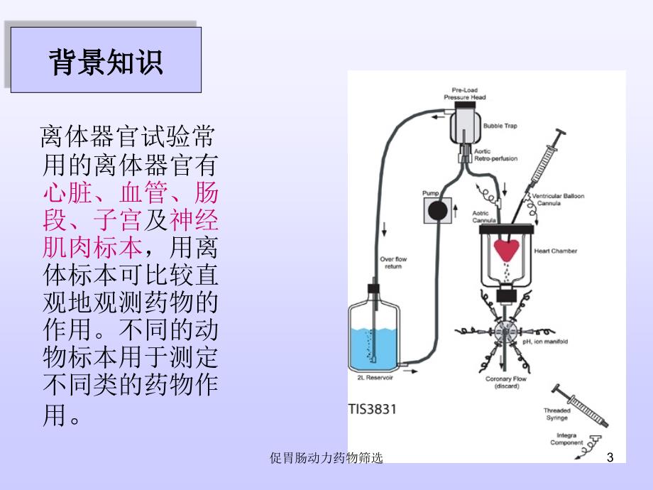 促胃肠动力药物筛选课件_第3页