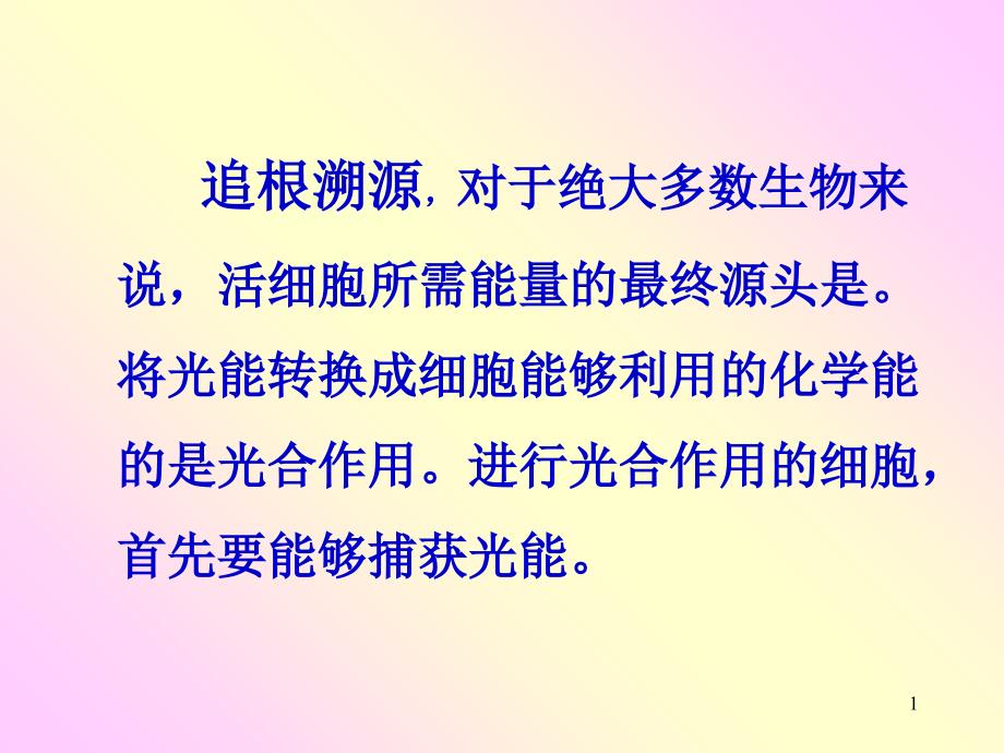 捕获光能的色素和结构52898_第1页