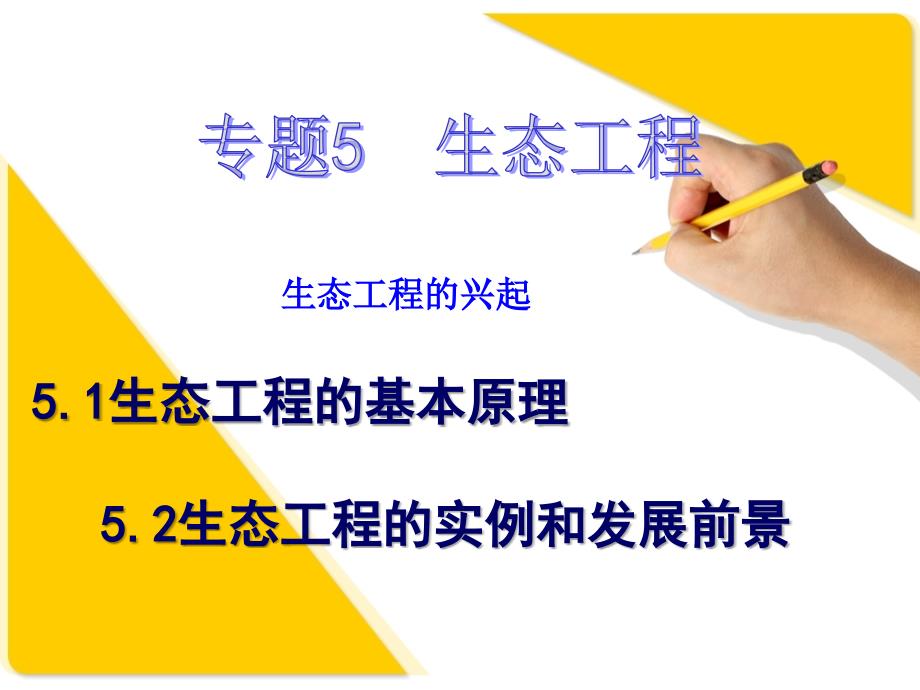 人教版教学课件生态工程的基本原理定稿_第1页