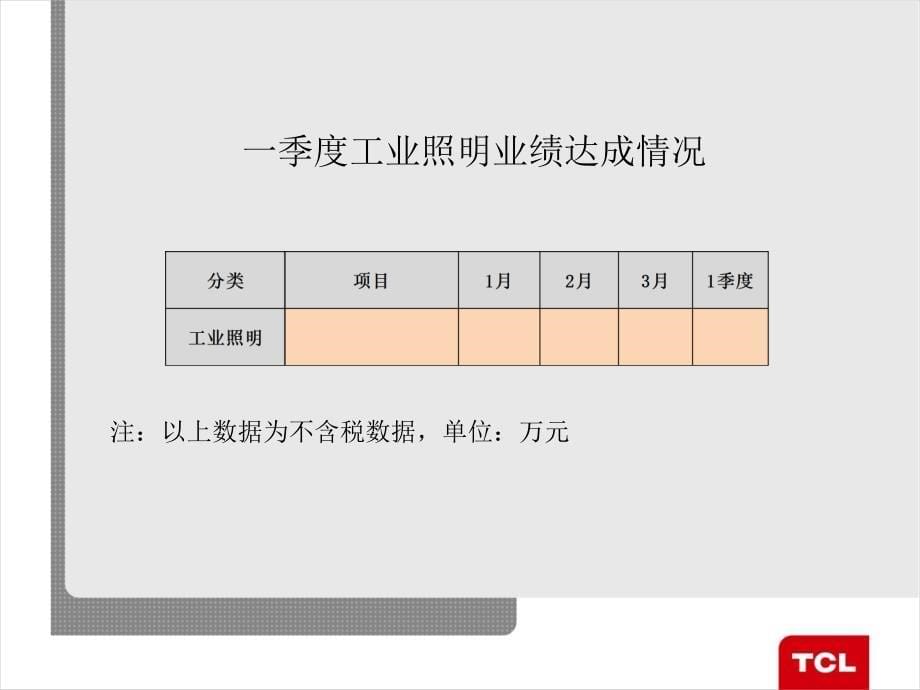 TCL照明营销中心一季度工作报告_第5页