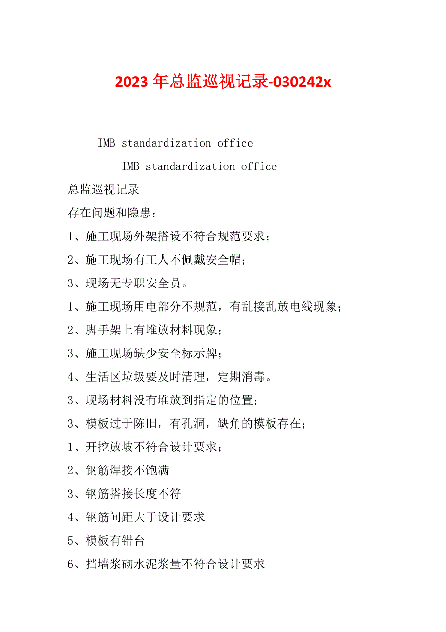 2023年总监巡视记录-030242x_第1页