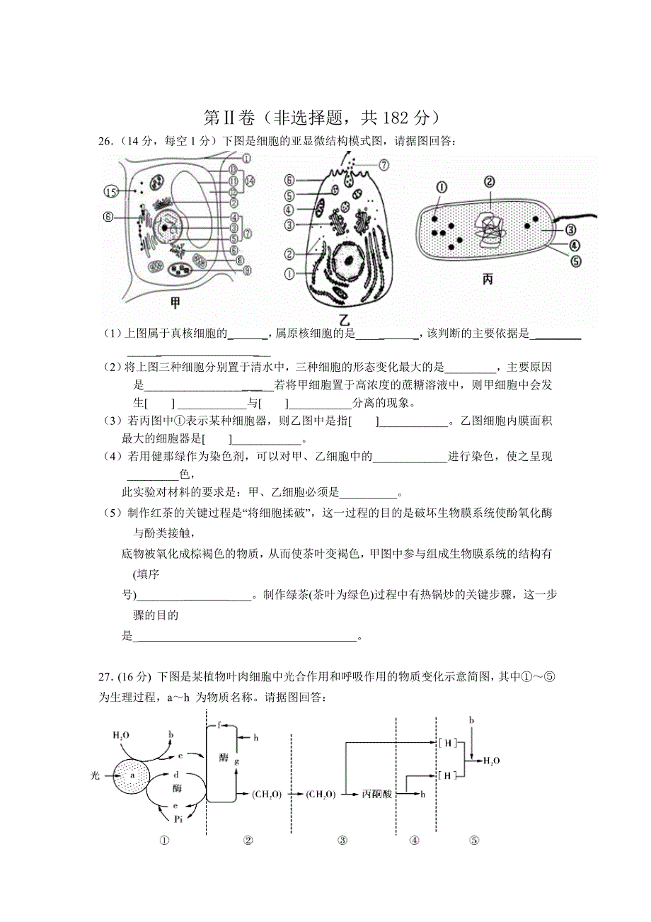 广东省潮汕两市名校2012届高三第一学期期中考试生物试题.doc_第3页