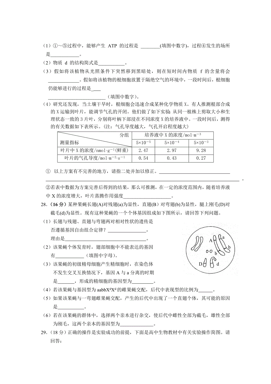 广东省潮汕两市名校2012届高三第一学期期中考试生物试题.doc_第4页