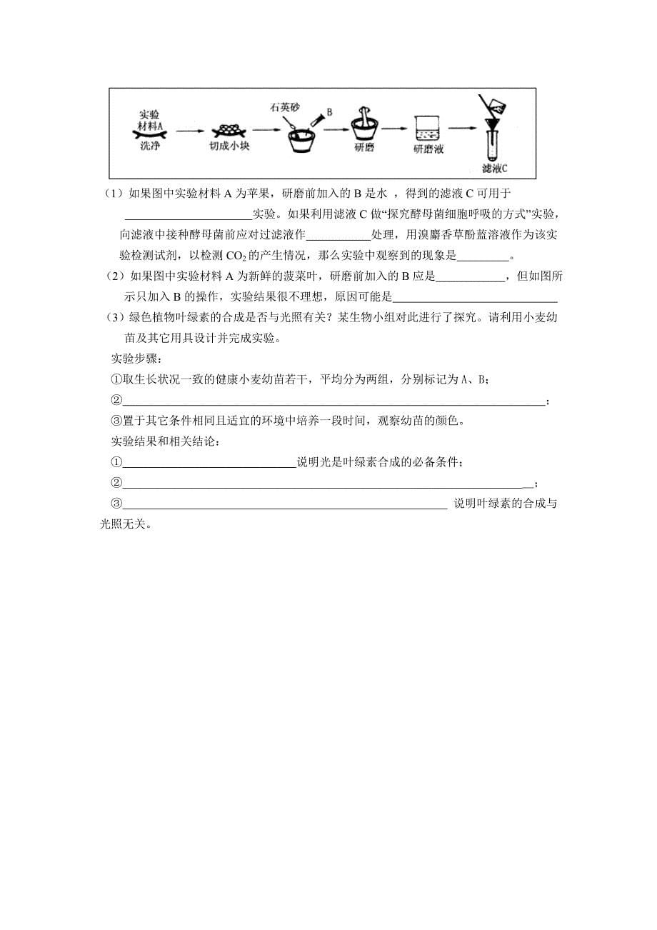 广东省潮汕两市名校2012届高三第一学期期中考试生物试题.doc_第5页