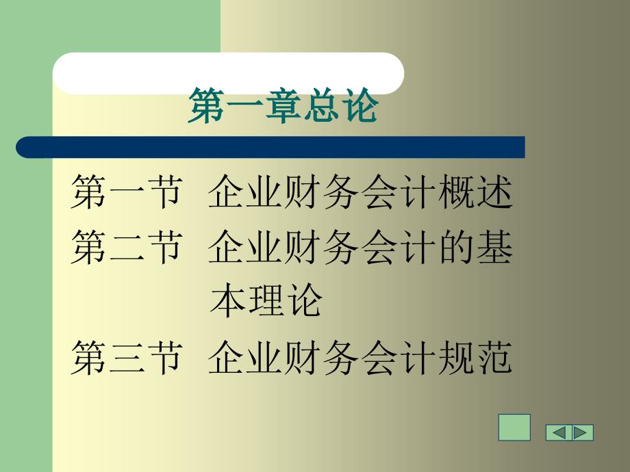 企业财务会计_第3页