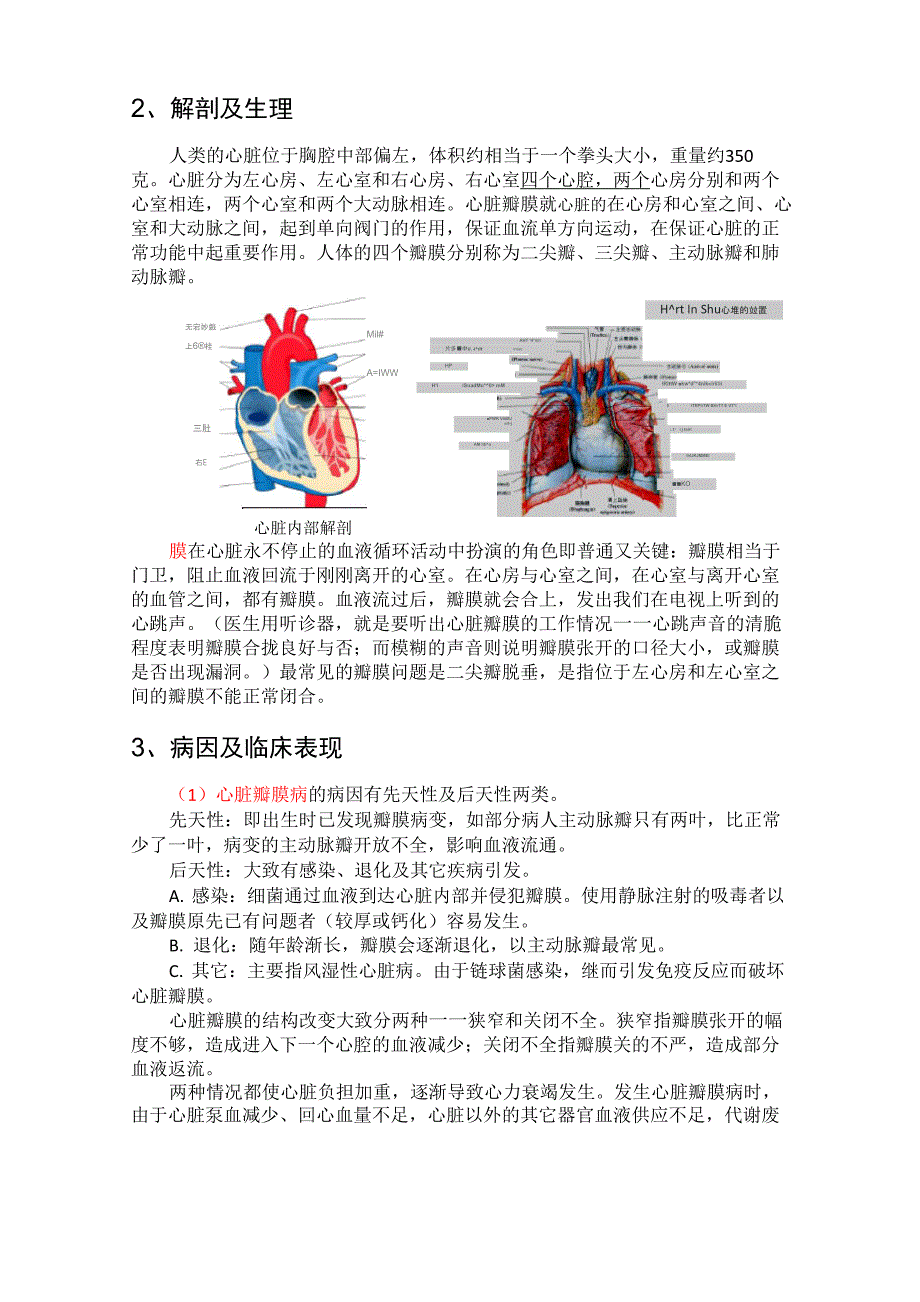 心胸外科护理个案_第4页