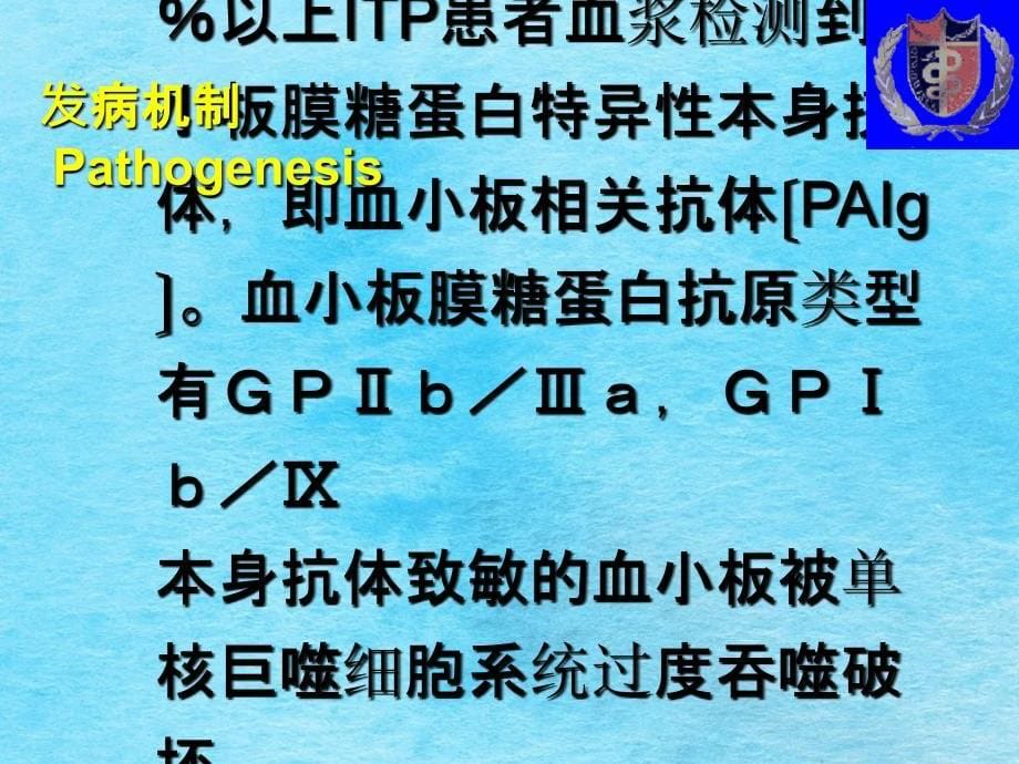 北京丰台人和中医院血液科特发性血小板减少知识讲解ppt课件_第5页