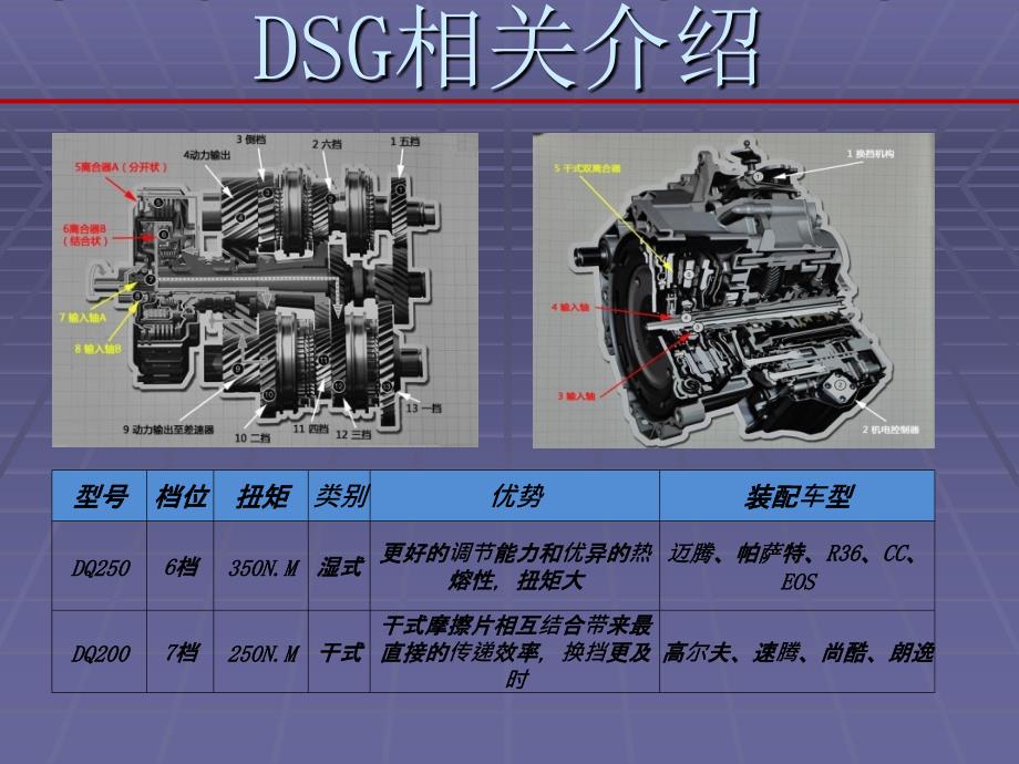 生命只有一次培训.资料_第4页