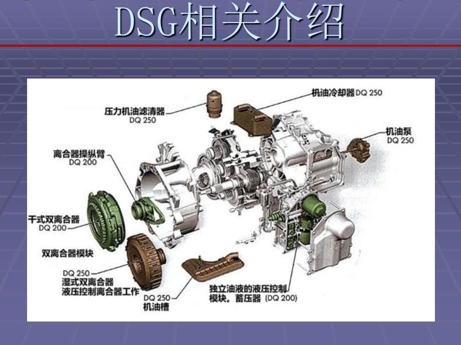 生命只有一次培训.资料_第5页