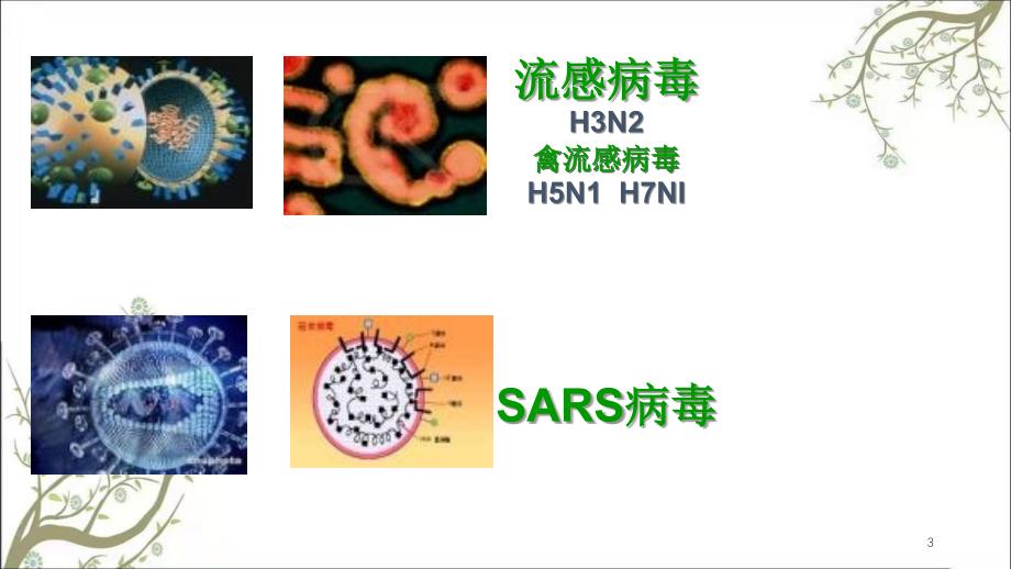 流感预防知识课件_第3页