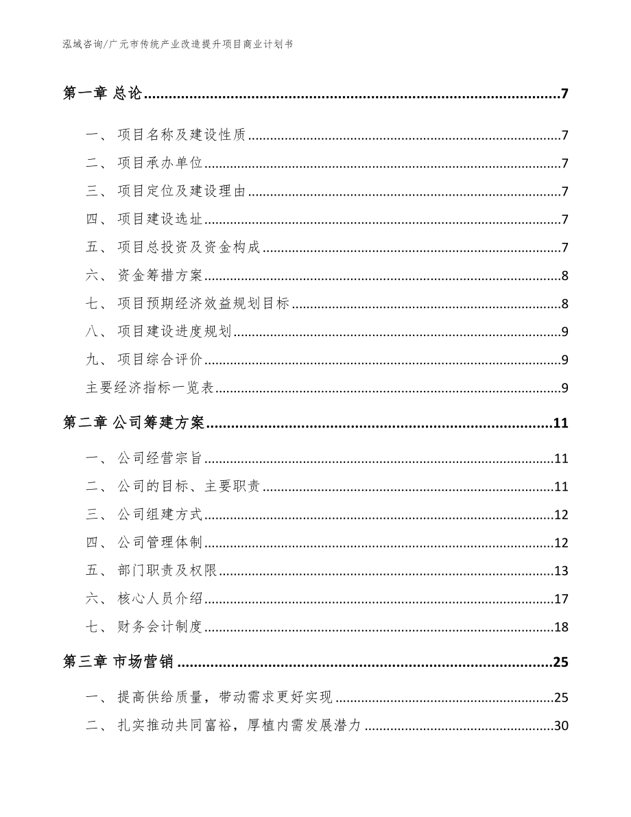 广元市传统产业改造提升项目商业计划书范文参考_第2页