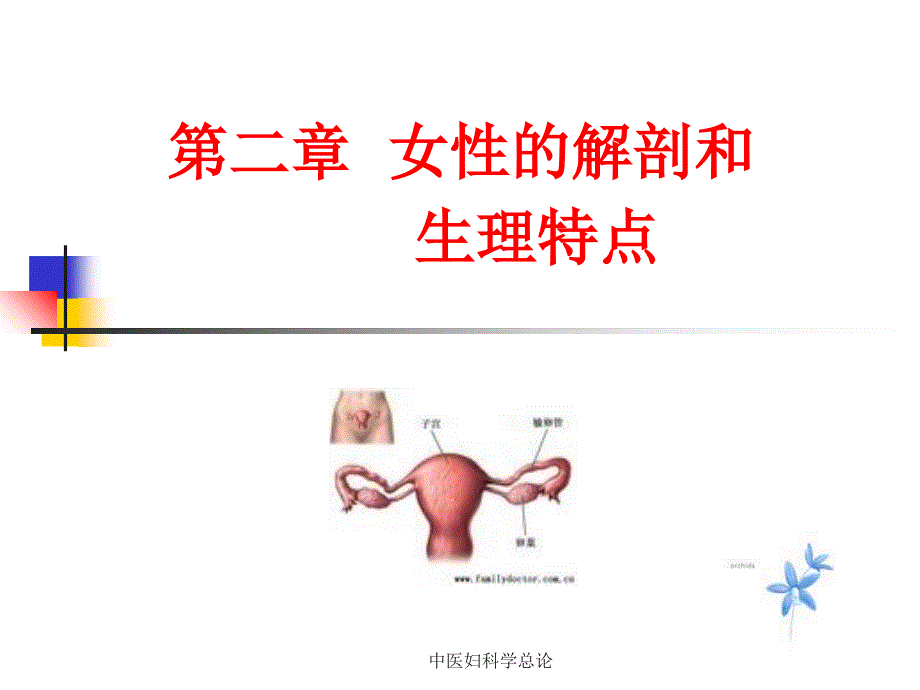 中医妇科学总论课件_第1页