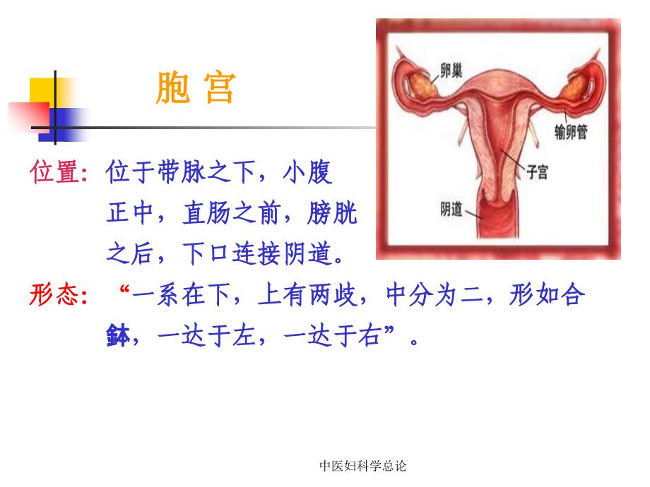 中医妇科学总论课件_第4页