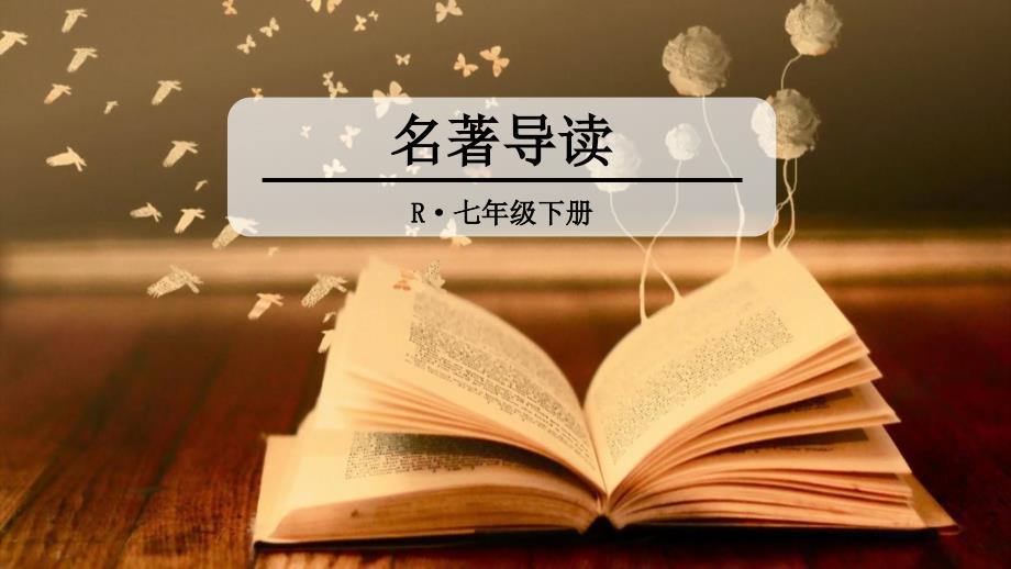 名著导读《海底两万里》精讲PPT_第1页