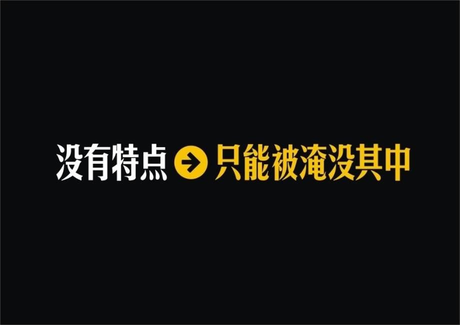 贵阳13万方生态休闲时尚城邦美谷广告推广提案_第5页