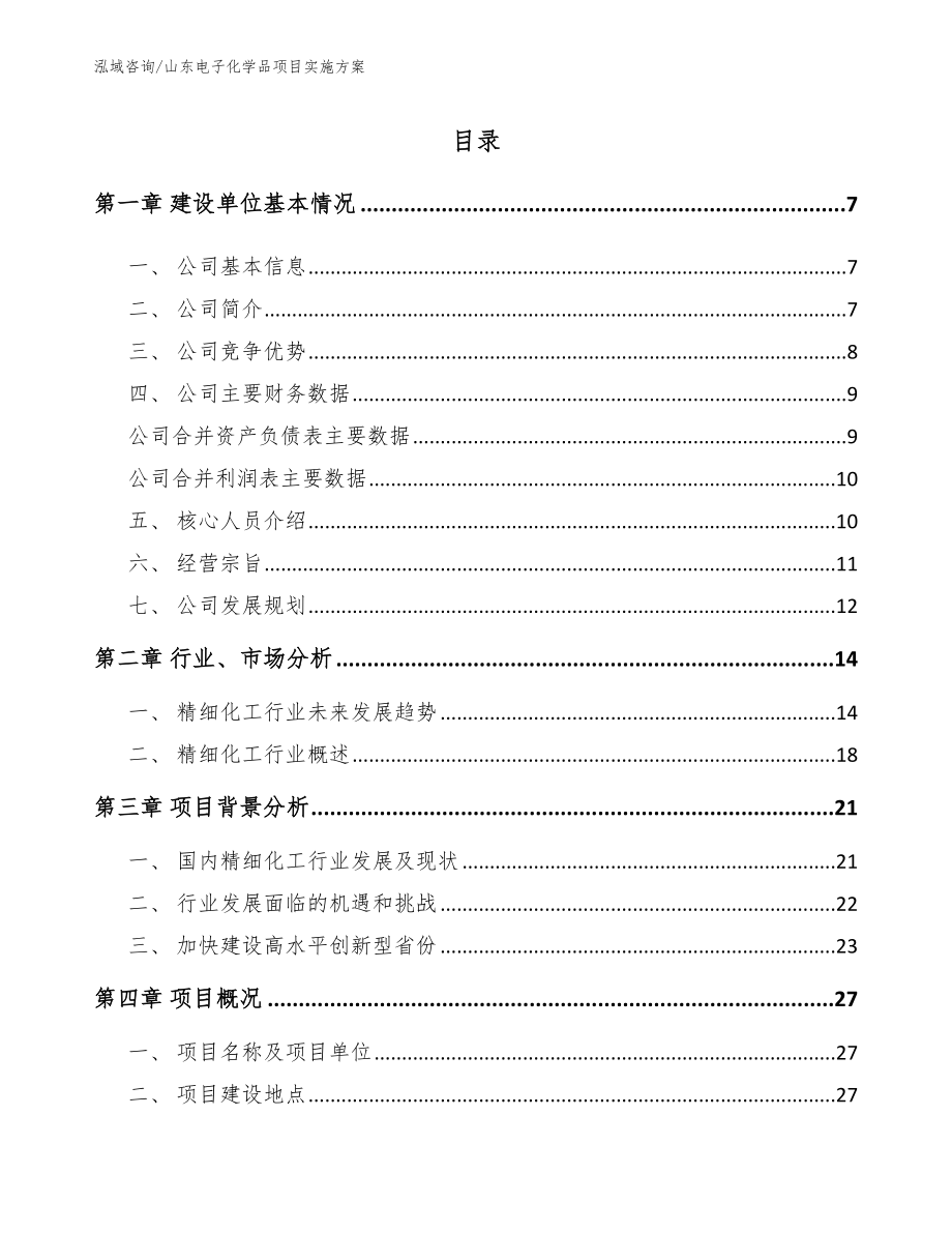 山东电子化学品项目实施方案_参考模板_第1页