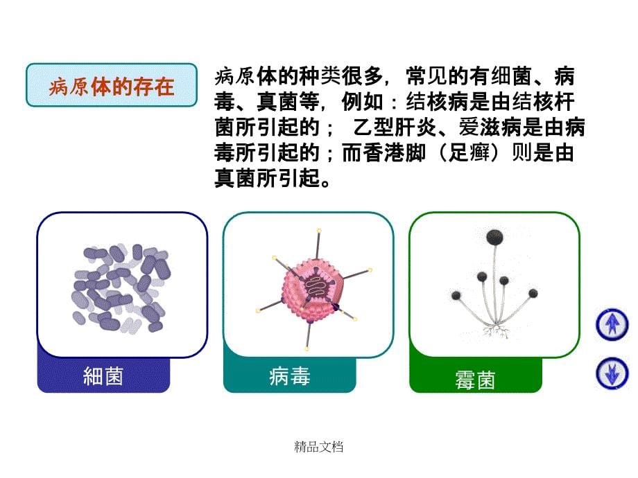 传染病防治知识讲解课件_第5页