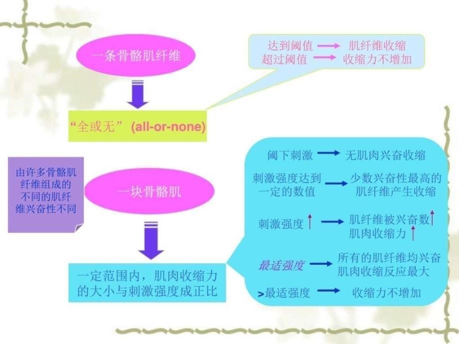 实验二刺激强度和频率与骨骼肌收缩的关系图文.ppt_第5页