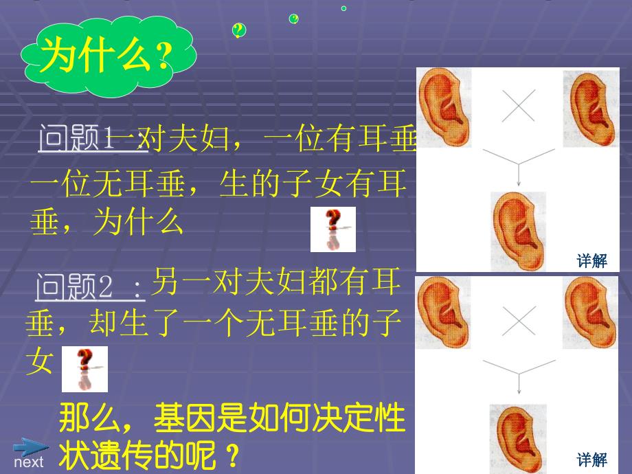 性状遗传有一定的规律性北师大版_第3页