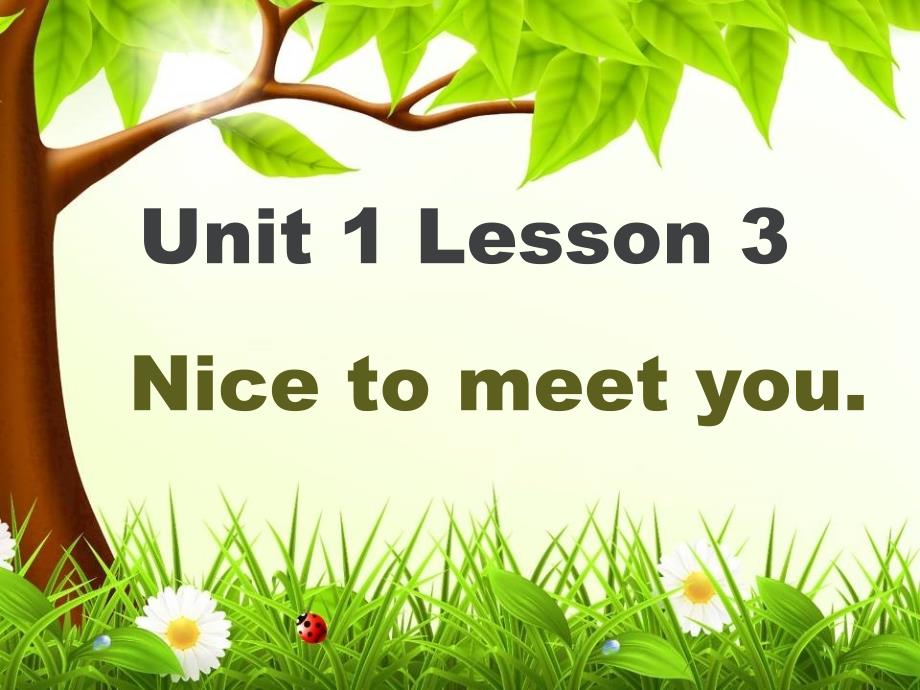 三年级上册英语课件Unit 1 Lesson 3 Nice to meet you. 鲁科版五四学制三起 (共15张PPT)_第1页