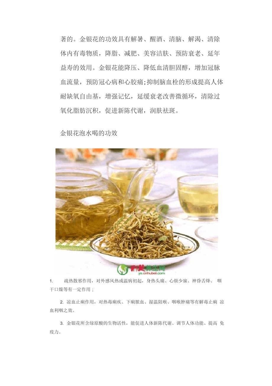 解读迷迭香茶的功效作用及喝法_第5页