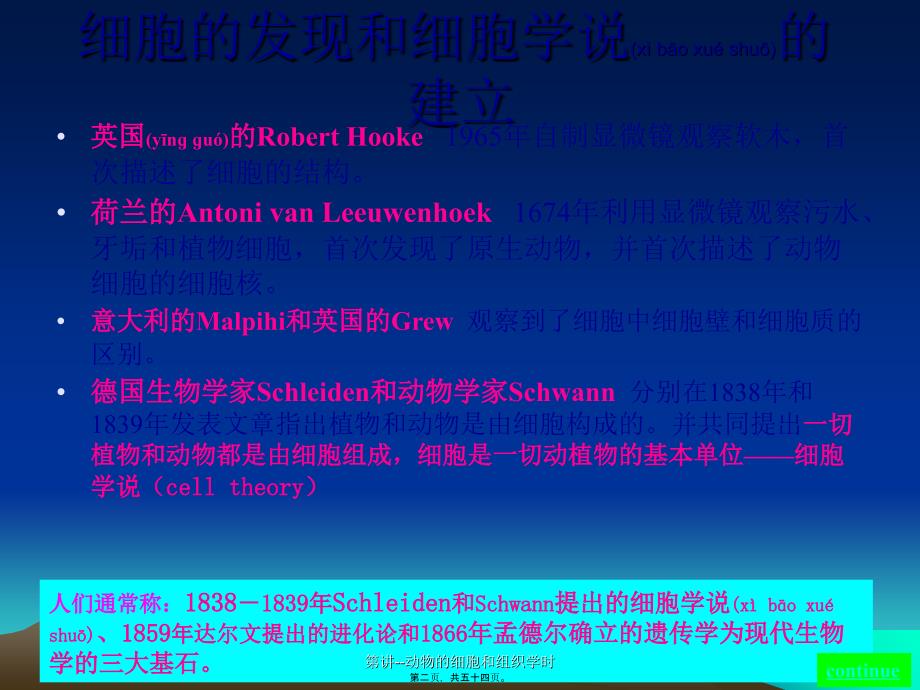 第讲动物的细胞和组织学时课件_第2页