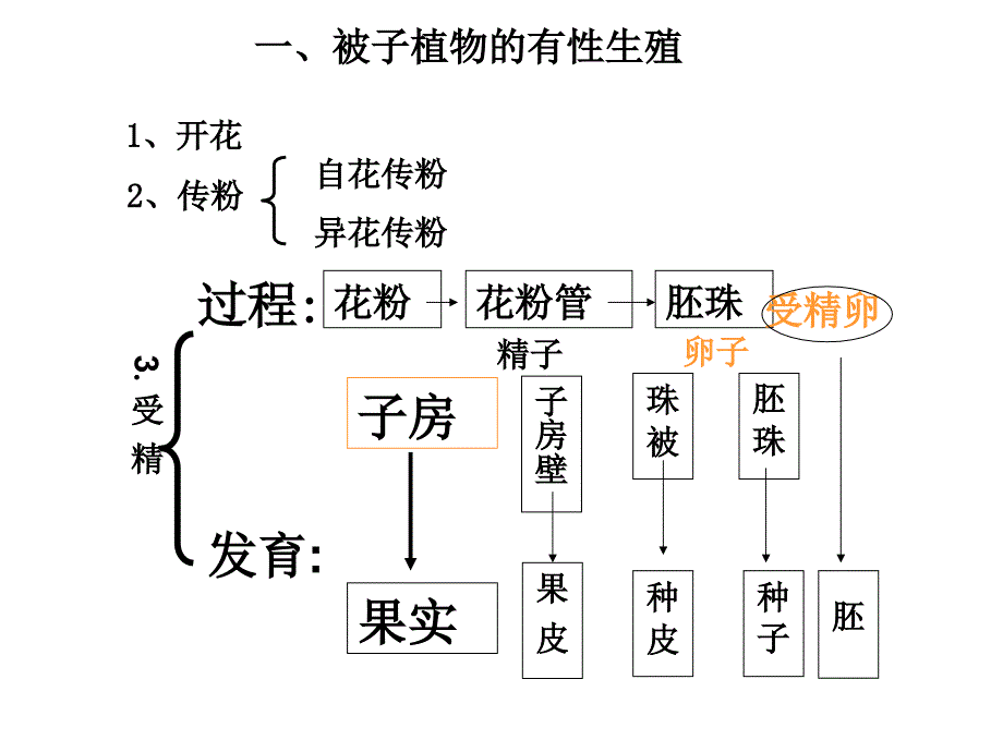 最新植物的生殖和发育_第4页