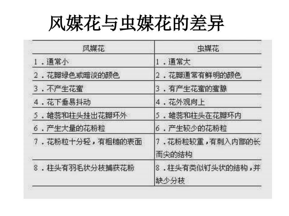 最新植物的生殖和发育_第5页