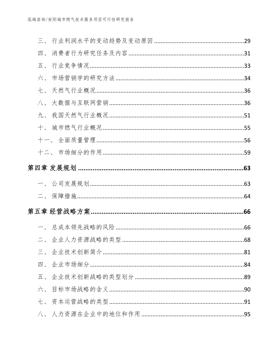 安阳城市燃气技术服务项目可行性研究报告模板范本_第2页